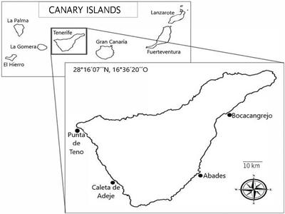 Influence of Winter Storms on the Sea Urchin Pathogen Assemblages